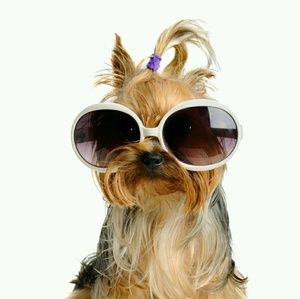 Meet your Posher, Jill